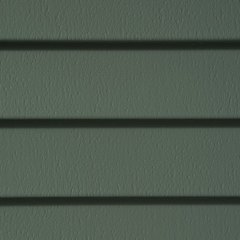 Forest (Deluxe)