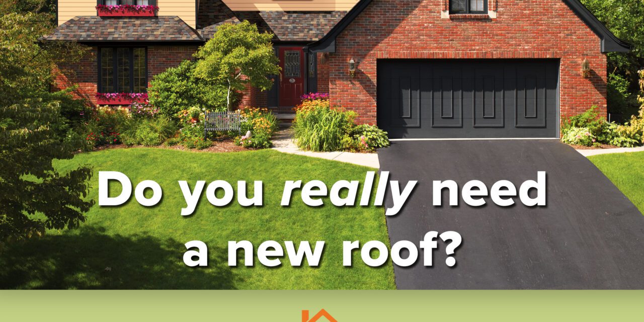 Do You Really Need A New Roof?
