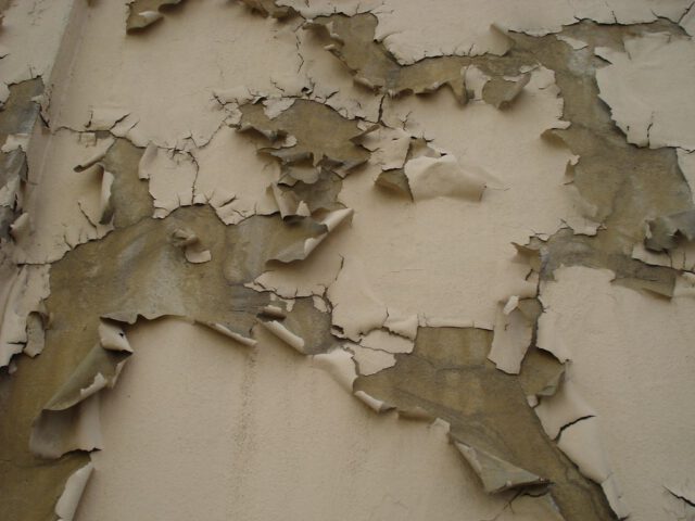 Peeling Interior Paint