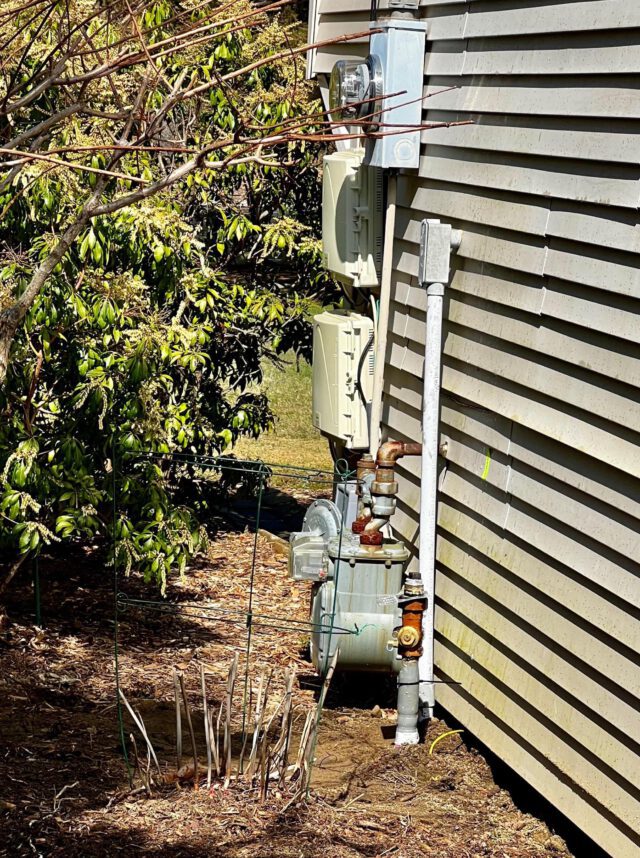 Moldy Vinyl Siding