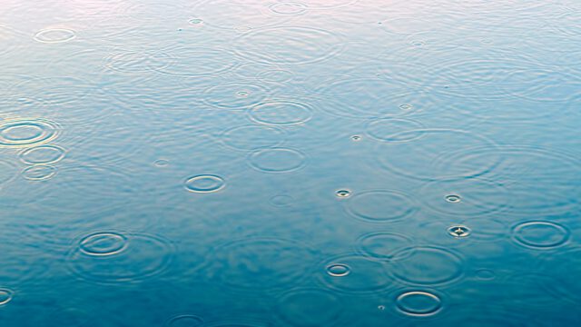 Raindrops