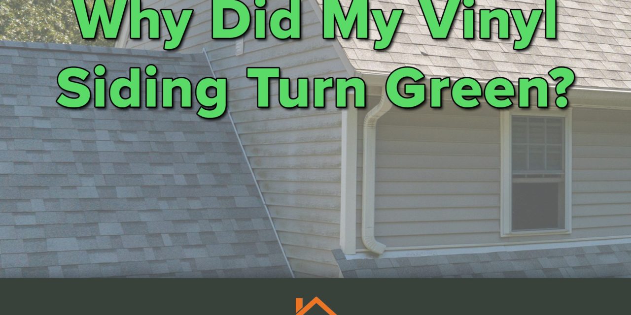 Why Did My Vinyl Siding Turn Green?