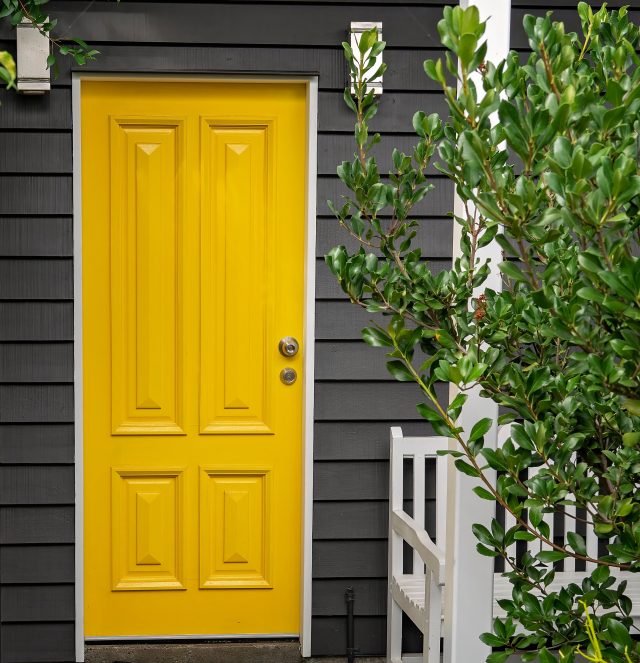 yellow door, black siding, modern exterior, greenery, white trim, bold entrance, minimal design, bright color accent