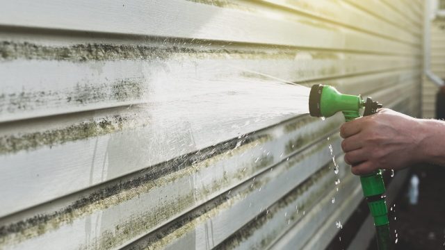 Painter on ladder using pressure wash spray to clean woodwork before painting townhome, siding water damage, mold on house exterior, algae growth on siding, home exterior maintenance, water damage signs, house mold and mildew, dirty vinyl siding, exterior home repair, weather damage on siding, house in need of cleaning