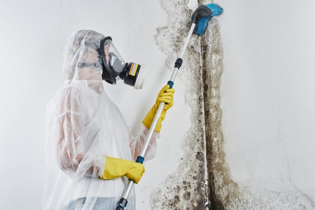 roof leaks, fall roof maintenance, roof repair, roof inspection, gutter cleaning, attic ventilation, roof replacement, roofing company Rhode Island, roofing tips, Seaberg Construction, mold