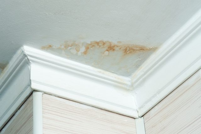 roof leaks, fall roof maintenance, roof repair, roof inspection, gutter cleaning, attic ventilation, roof replacement, roofing company Rhode Island, roofing tips, Seaberg Construction, mold