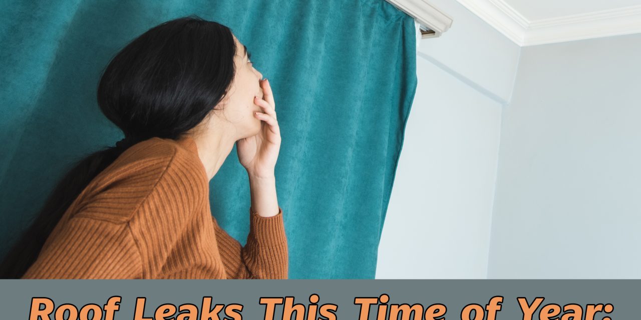 Roof Leaks This Time of Year: What Every Homeowner Should Know