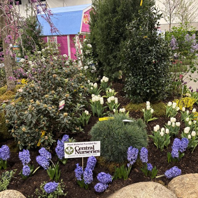 Rhode Island Home Show 2026, RI Home Show 2026, Rhode Island home improvement show, Rhode Island home renovation expo, Rhode Island Convention Center home show, Providence RI home improvement, Southern New England home show, Rhode Island home contractors, Rhode Island roofing companies, Rhode Island siding contractors, Rhode Island deck builders, Roofing replacement Rhode Island, Siding installation Rhode Island, Windows and doors Rhode Island, Custom decks Rhode Island, Exterior renovations Rhode Island, Rhode Island Home Show ticket prices, Rhode Island Home Show dates and hours, Best home improvement ideas Rhode Island, Home renovation tips Rhode Island, Local contractors at Rhode Island Home Show, Spring home improvement Rhode Island, Meet local contractors Rhode Island, Rhode Island exterior home projects, Plan spring and summer home projects Rhode Island